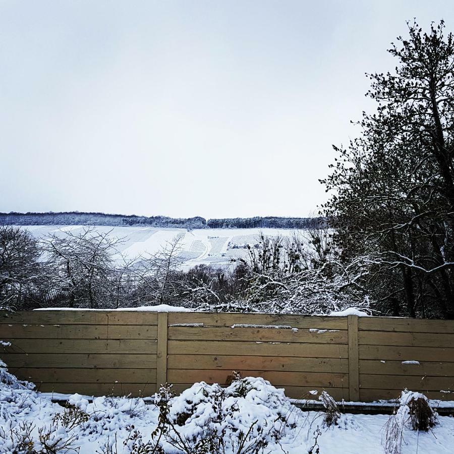 Gite Millesime Et Une Nuit Villers-sous-Chatillon Екстер'єр фото